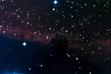 The Horsehead Nebula  late 20th century.