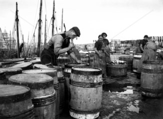 Fisherman nailing a lid to a barrel of fish  Whitby  North Yorkshire  c 1900s.