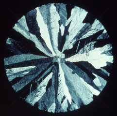 Pure zinc  sand cast (etched)  light micrograph  1990s.