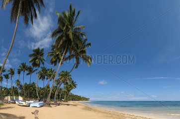 Las Terrenas  Dominikanische Republik  Fischerboote und Palmen am Strand