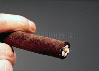Cigar tip  c 1845.