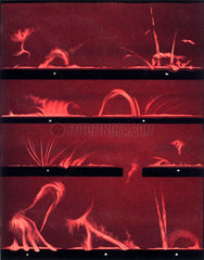Solar prominences  Plate 10  1872.