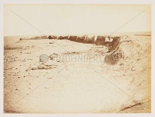 Dead donkey inside entrenchments at Tel-el-Kebir  Egypt  6 December 1882.