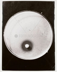 Penicillin growing in a petrie dish  1943.