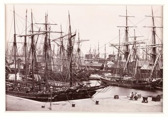 'The Bute Docks  With Shipping'  c 1880.