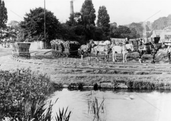 Horses hauling coal wagons  Derby Canal  Derbyshire  c 1908.