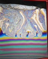 Thin-film interference pattern shown by bubble film  1980-2000.