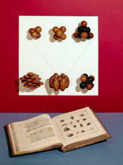 Wollaston's crystal models  1790-1828.