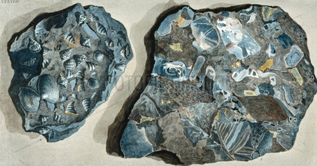 Rock fragments from Fossa Grande  Mount Vesuvius  c 1770.