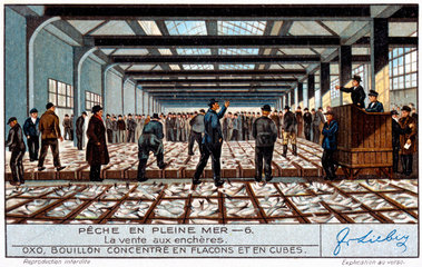 Fish auction  French Liebig trade card  early 20th century.