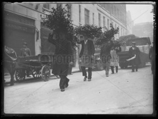Holly and mistletoe arriving at Covent Garden  London  1933.