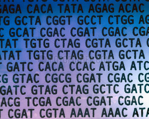 Detail of DNA exhibit  Science Museum  London  May 2001.