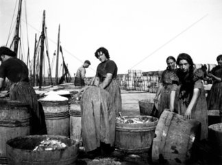 Women fisherfolk packing fish and salt into