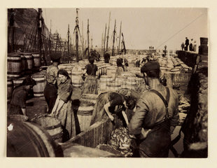 Barrels of herring  Whitby Harbour  North Yorkshire  c 1905.