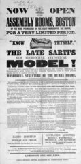 'The Late Sarti's New Florentine Anatomical Model’  printed notice  1854.