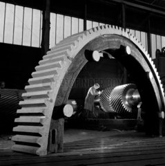 A giant gear wheel segment frames a pinion being checked by fitter. 1959.