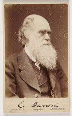 Charles Darwin  British naturalist  c 1880.