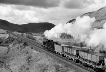 Goods steam locomotive  Lune Valley  Durham  1954.