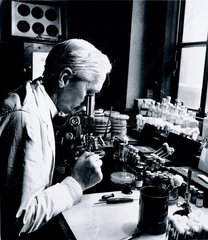 Alexander Fleming  Scottish bacteriologist  18 December 1943.