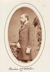 'Prince of Wales'  c 1875.