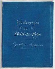 'Photographs of British Algae: Cyanotype Impressions' 1843.