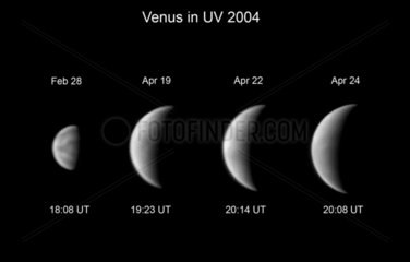 Clouds on Venus  2004.