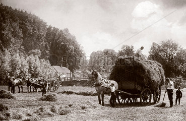 ‘Bringing Home the Harvest'  late 19th century.