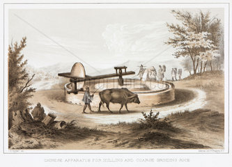‘Chinese Apparatus for Hulling and Coarse Grinding Rice’  c 1853-1854.