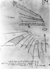 Designs for the wings of a flying machine  late 15th century.
