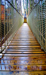 Rope bridge near Alnwick Castle  Northumberland  January 2006.
