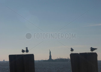 The Statue of Liberty and Liberty Island viewed from the shore  USA  2004.