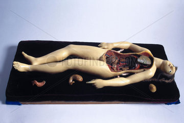 Wax anatomical figure of a reclining female  c 1771-1780.