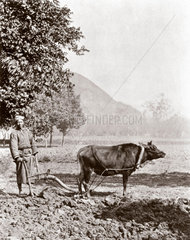 The garden plough  China  1864-1872.