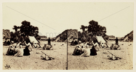'Encampment Under a Doum Palm'  1859.