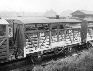 Cattle vans  1909.