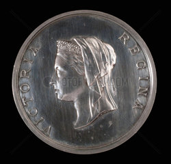 Medal commemorating the International Health Exhibition  1884.