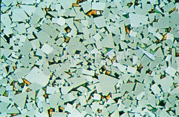 Tungsten carbide/cobalt. Light micrograph i