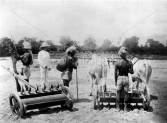 Sowing with drills  Allahabad  India  1877.