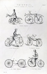 Six early forms of bicycle  19th century.