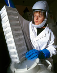 Producing bone cells for use in 'bio-glass' bonding  October 2001.