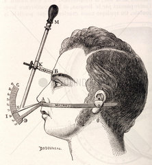 Measurement of the head and face  1883.