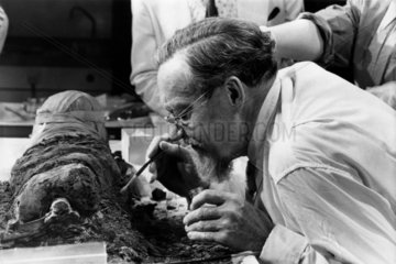 Egyptologist examining the remains of a mummy  12 June 1975.