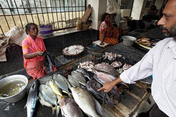 Cuddalore  Indien  Frauen verkaufen fangfrischen Fisch auf dem Fischmarkt