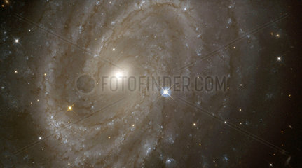 Variable Stars in a Distant Spiral Galaxy  1999.