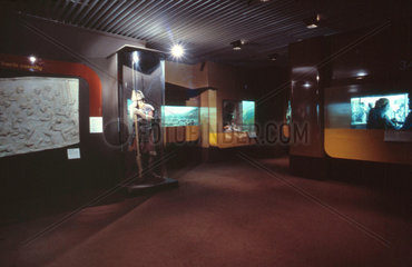 Lower Wellcome Gallery  Science Museum  London  1990s.