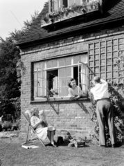 Man fixing a garden trellis  c 1950.