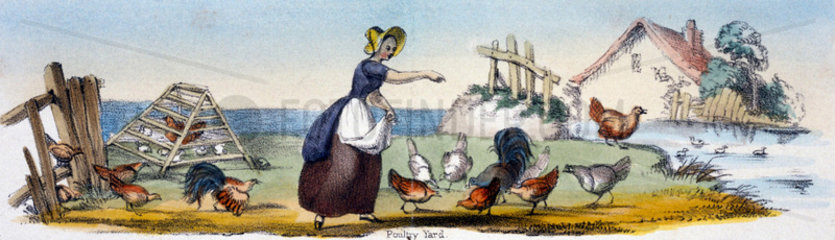 'Poultry Yard'  c 1845.