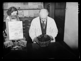 Pharmacist holding a bowl of leeches  23 January 1935.