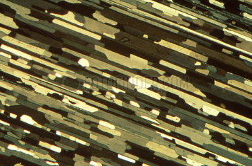 Anodised extruded aluminium  light micrograph  1990s.