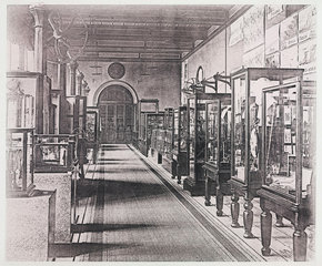 Exhibits at the South Kensington Museum  London  1876.